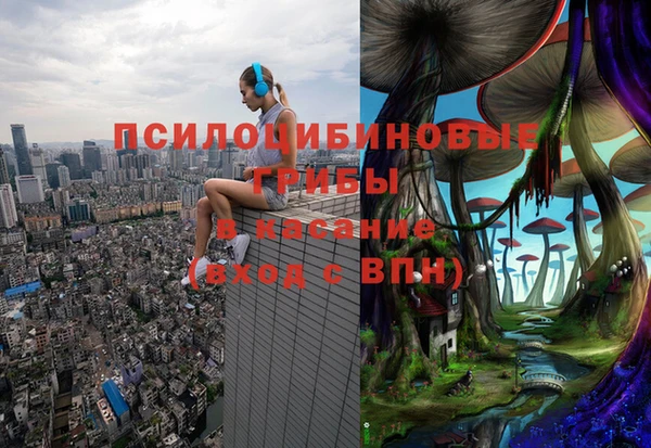 прущие грибы Липки