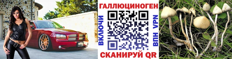 Псилоцибиновые грибы ЛСД  Сочи 